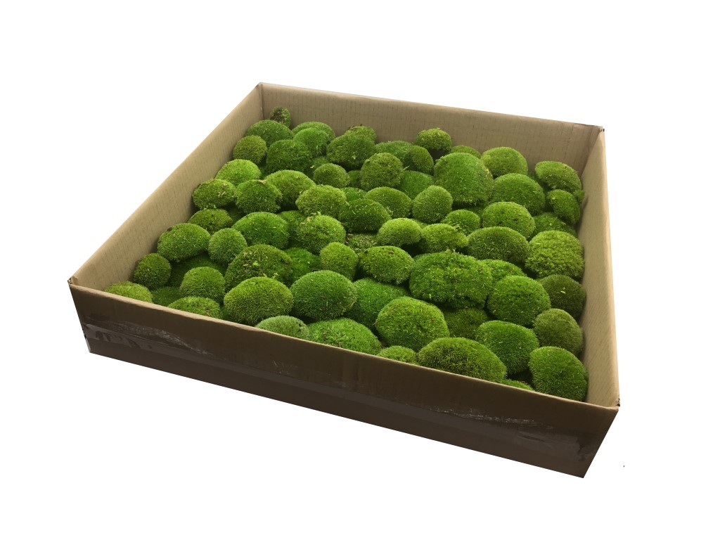 Preserved Swedish Pillow Moss/ Ball Moss Medium Green 0,5 - 0,6m2 Large Bulk Wholesale Box